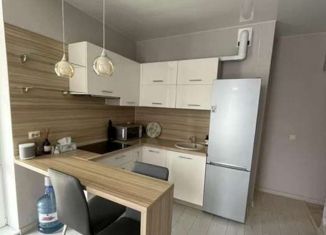 Сдам в аренду 1-ком. квартиру, 54 м2, Екатеринбург, улица Фурманова, 124