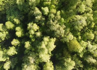 Продам земельный участок, 890 сот., Архангельское сельское поселение