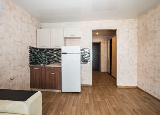 Продается квартира студия, 29 м2, село Чигири, улица Воронкова, 23