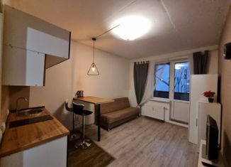 Продается квартира студия, 24 м2, Кудрово, Пражская улица, 4, ЖК Парклэнд