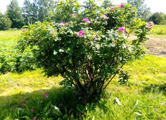 Продается дом, 42 м2, посёлок Разведчик, Геологическая улица