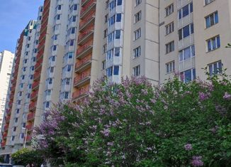 Продаю комнату, 87 м2, Санкт-Петербург, Богатырский проспект, 48к1, муниципальный округ № 65