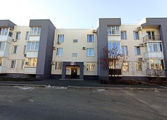 Продажа однокомнатной квартиры, 47 м2, посёлок Пригородный, Звёздный проспект, 128Б