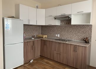 Продажа 2-ком. квартиры, 53 м2, Санкт-Петербург, улица Корнея Чуковского, 7к3, улица Корнея Чуковского