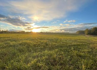 Продается участок, 9.02 сот., деревня Велигонты, Центральная улица