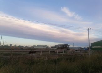 Продам участок, 16000 сот., деревня Кути