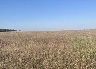 Продается участок, 6.03 сот., село Челядиново, Школьная улица