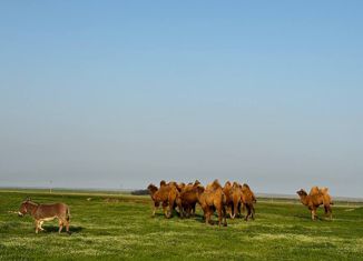 Продажа участка, 3500 сот., Новосельское сельское поселение