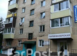 Продаю 2-комнатную квартиру, 45 м2, Арсеньев, улица Ломоносова, 10