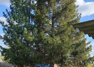 Продам дом, 41 м2, деревня Измоденова, улица Чапаева, 23