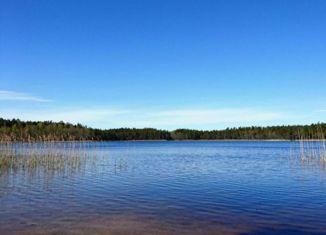 Продам участок, 20 сот., деревня Заполье