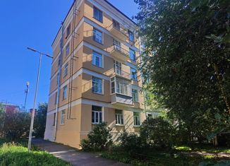 Продается 1-ком. квартира, 43 м2, Санкт-Петербург, Остоумова улица, 10, метро Спортивная