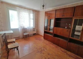 Продаю 1-комнатную квартиру, 33 м2, деревня Берёзовка, Молодёжная улица, 28