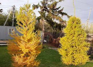 Продажа дома, 16 м2, Омск, Яблоневая улица, Ленинский округ