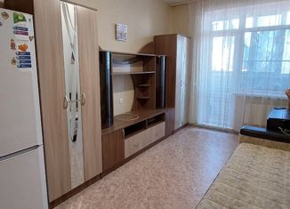 Сдам в аренду квартиру студию, 25 м2, Воронеж, Баррикадная улица, 27А