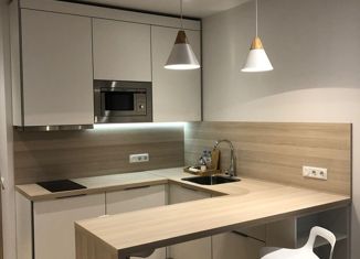 Продам квартиру студию, 26.1 м2, Санкт-Петербург, Социалистическая улица, 21, метро Лиговский проспект