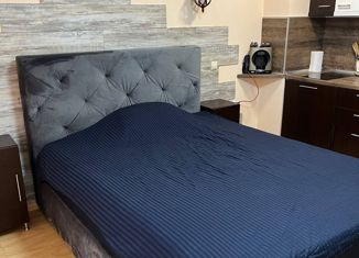 Продажа квартиры студии, 26.6 м2, Сочи, Верхнеизвестинская улица, 24И, микрорайон Энергетик-Изумруд