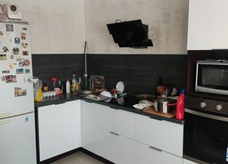 Продается квартира студия, 25 м2, деревня Хохряки, Тепличная улица, 33