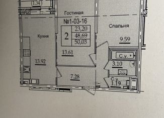Продается 2-комнатная квартира, 49.1 м2, Санкт-Петербург, Славянская улица, 8, ЖК Живи в Рыбацком