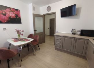 2-комнатная квартира на продажу, 57.2 м2, Мурино, Екатерининская улица, 6к1, ЖК Виктория