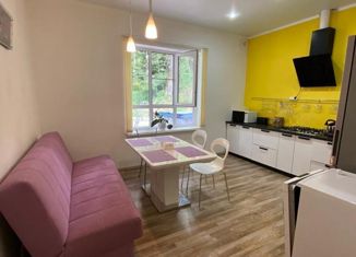 Продаю дом, 151 м2, село Раздольное, Земляничная улица, 676