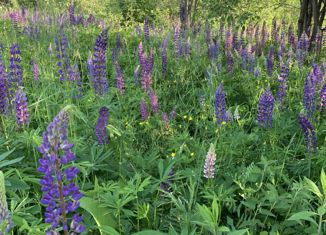 Продаю земельный участок, 11 сот., посёлок Дубовский