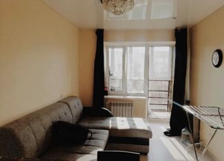 Сдается в аренду квартира студия, 25 м2, село Михайловка, Сливовая улица, 3