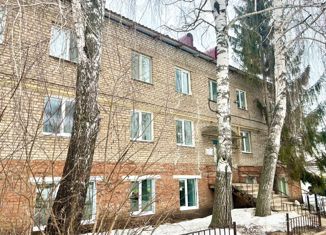 Продажа 3-ком. квартиры, 60 м2, село Дмитриевка, Трактовая улица, 17