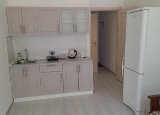 Сдаю квартиру студию, 25 м2, Санкт-Петербург, улица Ивана Куликова, метро Проспект Ветеранов