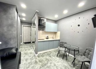 Продается квартира студия, 23 м2, Ростов-на-Дону, улица Нансена, 83к2, ЖК Скай Парк