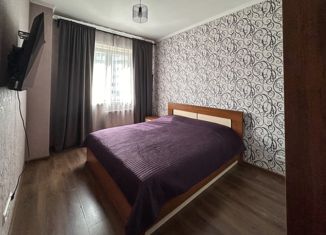 Продается 1-ком. квартира, 45 м2, Санкт-Петербург, улица Димитрова, 39к1, Фрунзенский район