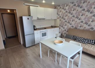 Продаю квартиру студию, 28.1 м2, Домодедово, улица Курыжова, 32