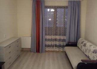 Сдается в аренду квартира студия, 28.2 м2, Мурино, бульвар Менделеева, 12к1, ЖК Солнечный