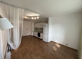 Продам квартиру студию, 32.3 м2, Санкт-Петербург, Кушелевская дорога, 3к13, метро Площадь Мужества