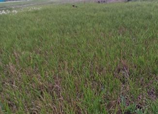 Участок на продажу, 10 сот., село Старая Табага, Молодёжная улица, 1/1