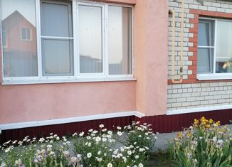 Продажа 2-комнатной квартиры, 50.8 м2, село Бессоновка, Сиреневая улица, 61