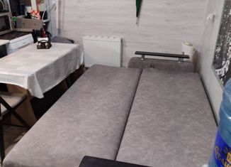 Сдается однокомнатная квартира, 39.3 м2, посёлок Знаменский, Первомайская улица, 36/6