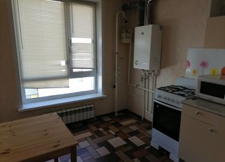 Сдаю 1-ком. квартиру, 30 м2, Самара, микрорайон Крутые Ключи, 45, Красноглинский район