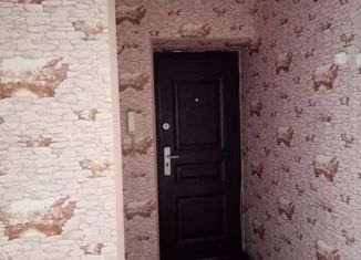 Сдача в аренду 1-ком. квартиры, 30 м2, Обь, улица ЖКО Аэропорта, 17