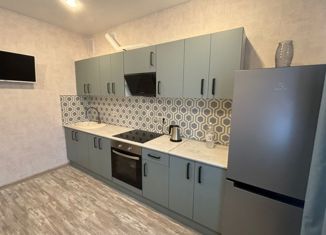 2-комнатная квартира в аренду, 54 м2, аул Новая Адыгея, улица Тургеневское Шоссе, 33/5к41