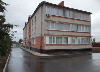 Продаю двухкомнатную квартиру, 42 м2, Мензелинск, улица Изыскателей, 2/2