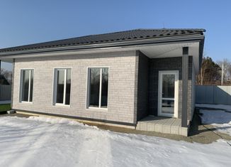 Продам дом, 136 м2, село Вольно-Надеждинское, Трактовая улица, 46А
