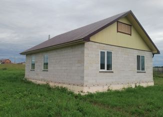 Продажа дома, 65 м2, село Пешнигорт, улица Голева