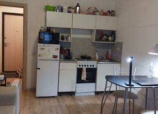 Продаю квартиру студию, 21.5 м2, Санкт-Петербург, ЖК Граффити, проспект Королёва, 59к1