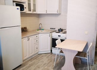 Квартира на продажу студия, 28.8 м2, Новосибирск, улица Мясниковой, 6/1, улица Мясниковой