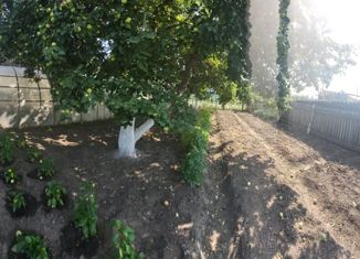 Продается дом, 79.3 м2, село Щербаковка, Новая улица