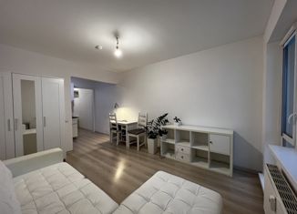 Продается квартира студия, 27.5 м2, Санкт-Петербург, улица Михаила Дудина, 12, улица Михаила Дудина