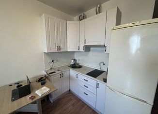 Продажа квартиры студии, 29 м2, село Домодедово, Высотная улица, 5