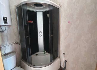 Продаю 1-ком. квартиру, 20.3 м2, село Борисовка, Новая улица, 1