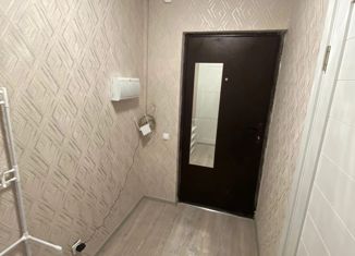 Аренда квартиры студии, 24 м2, Мурино, улица Шоссе в Лаврики, 67, ЖК Муринское-1